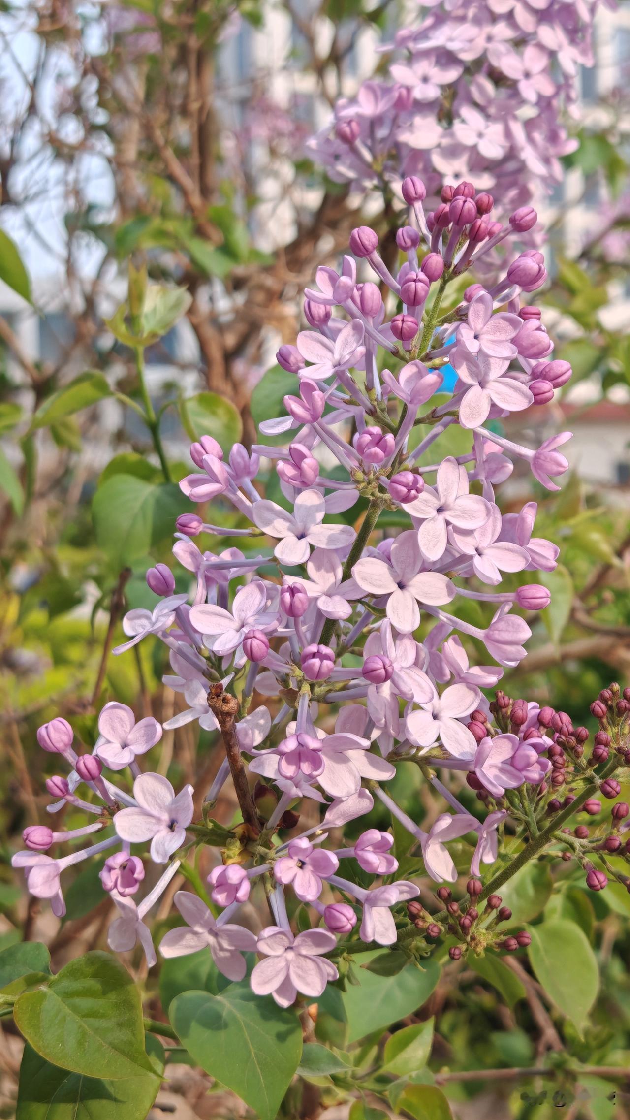 40岁之后我才真正的意识到，健康是人生最珍贵的底气
 
健康从不是遥不可及的追求