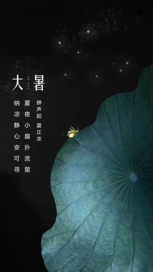 今日大暑
二十四节气 大暑