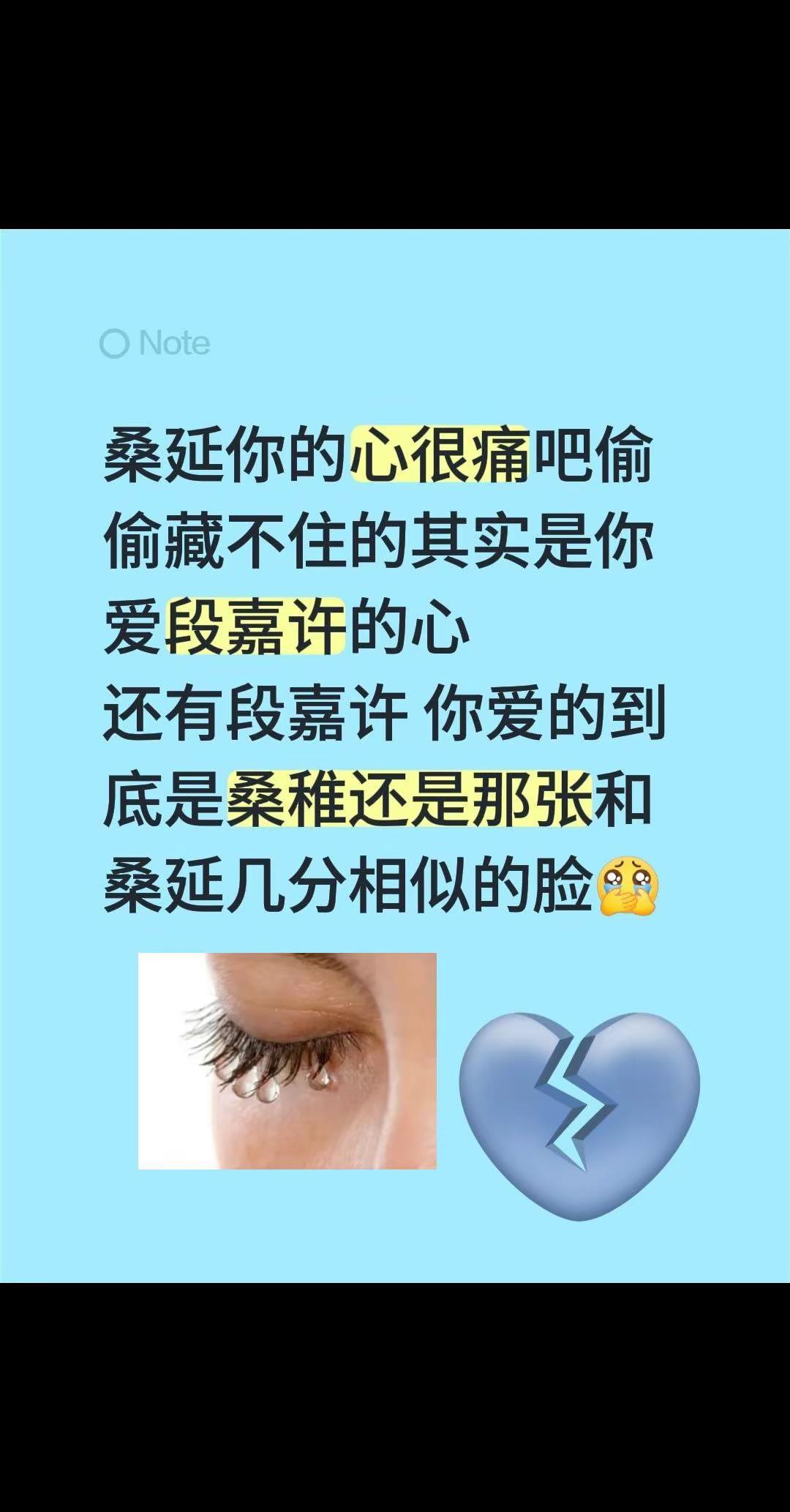许我耀延幸福好不好。桑延你的心很痛吧偷偷藏不住的其实是你爱段嘉许的心还有段嘉许 