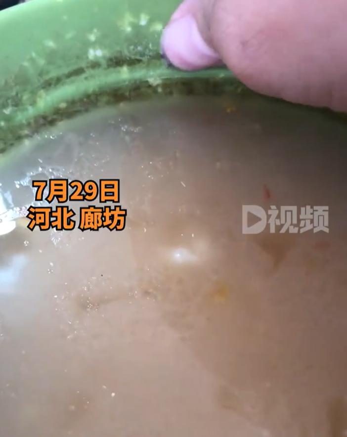 【：老板娘笑笑不吭声，没敢吃走了】7月29日，河北廊坊。女子发视频称，餐厅碗边包