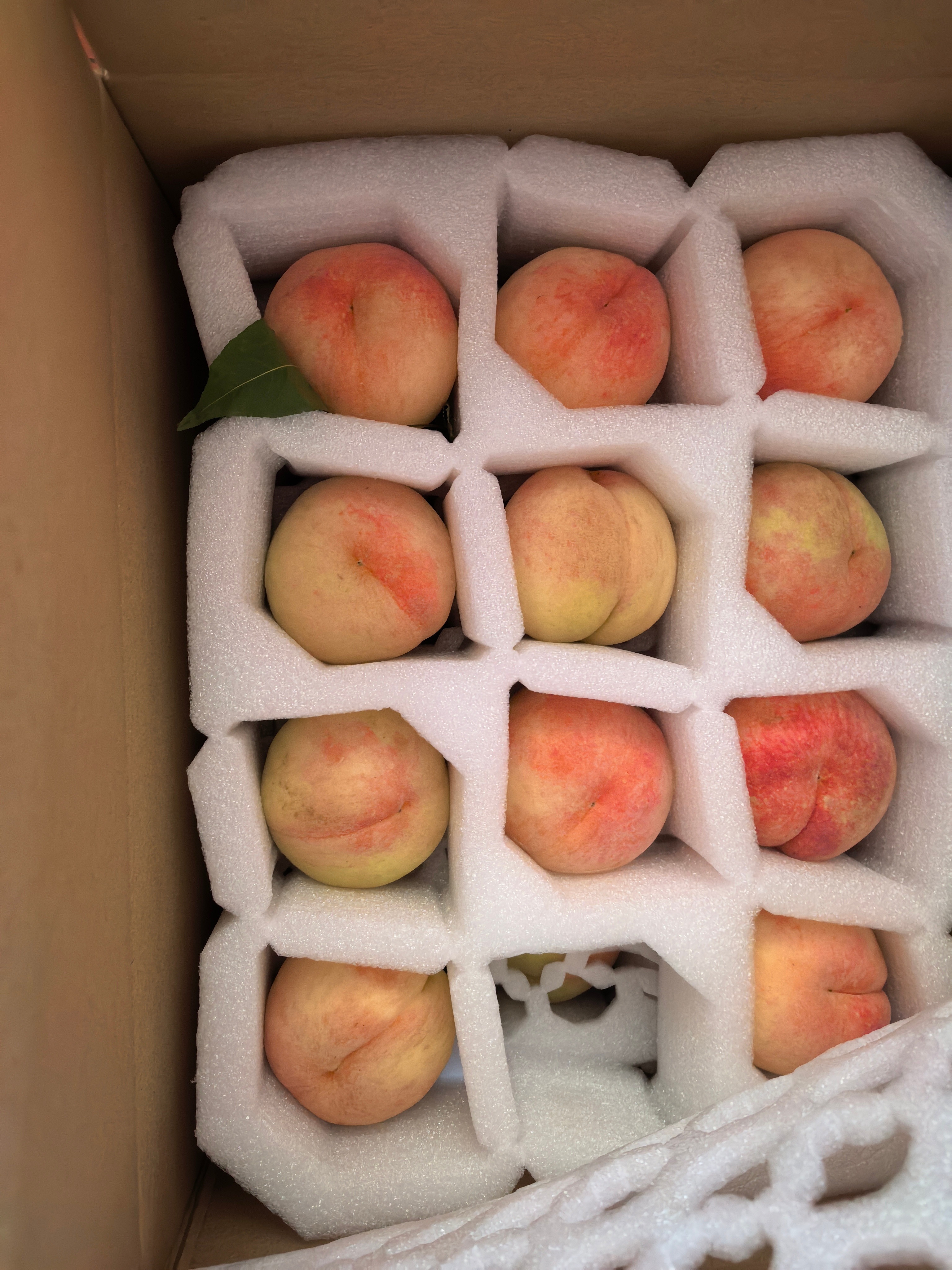 无锡水蜜桃到了，我喜欢水蜜桃，伙夫和小家伙喜欢吃硬桃，得抓紧时间吃，水蜜桃成熟度