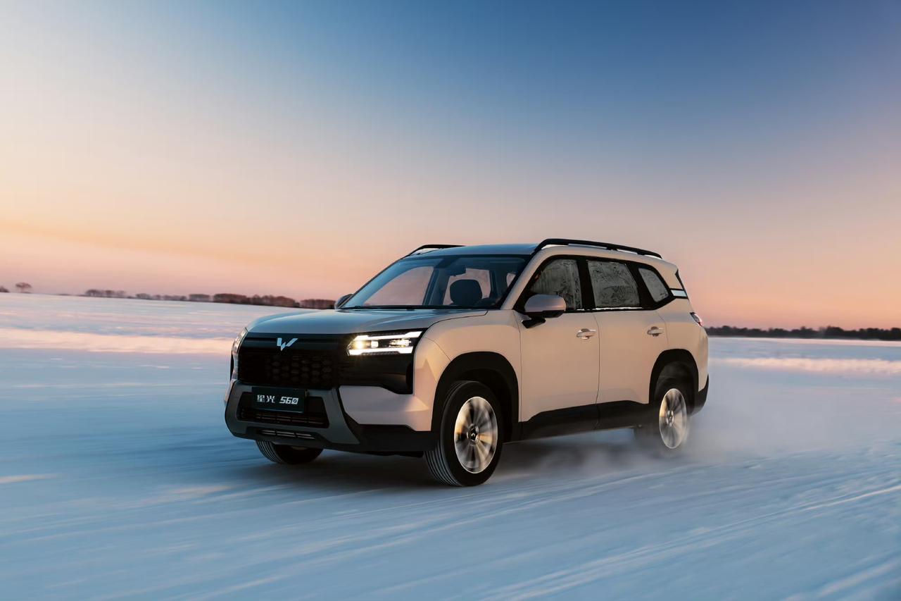 1、预算严格卡在6-10万，对空间有硬要求；
2、在“油车省心”和“电车省钱”间