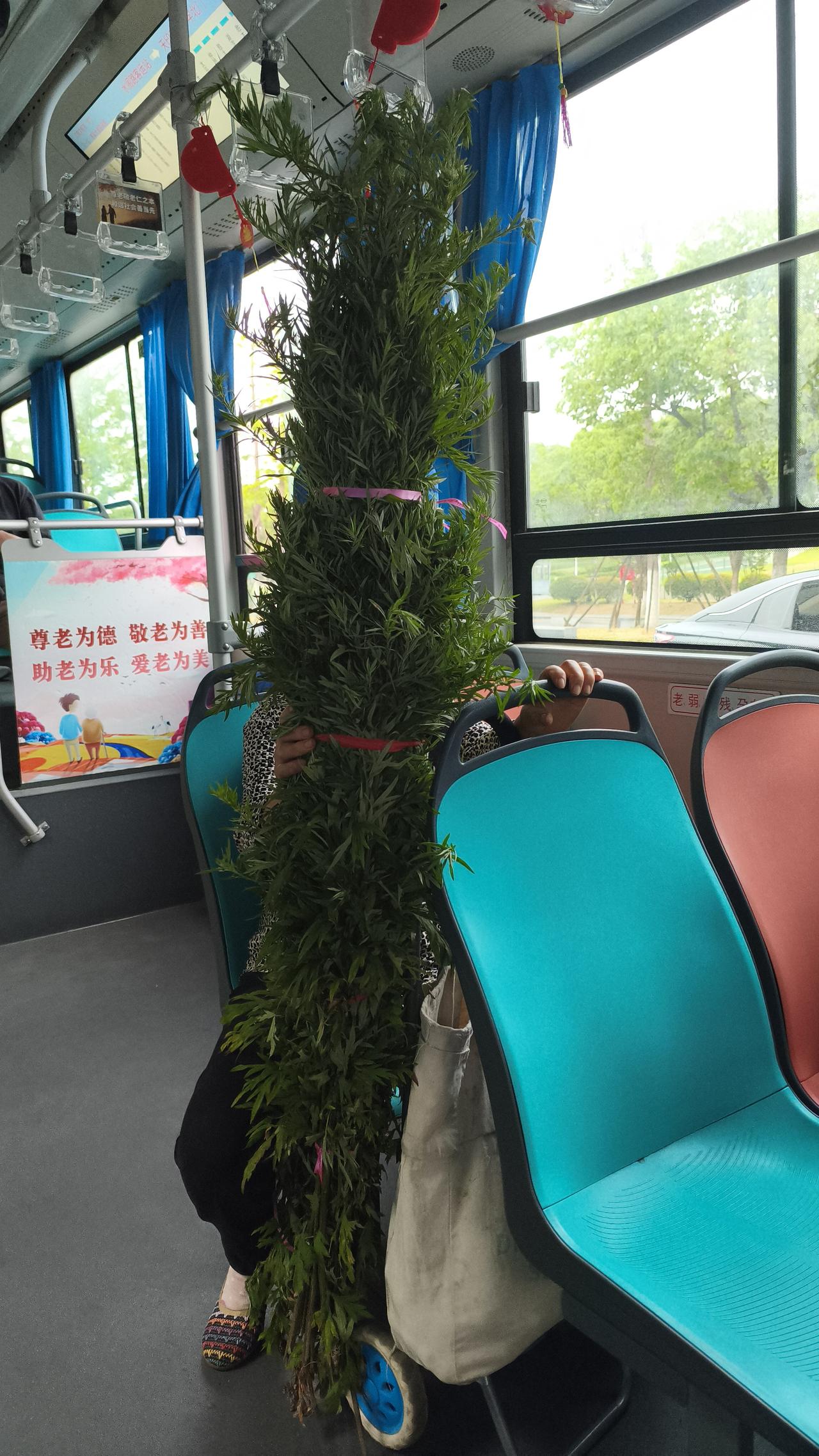 艾草的用途极为广泛，它既能驱邪避疫、驱虫净气，又寓意着护宅安康、招福纳祥。老人们