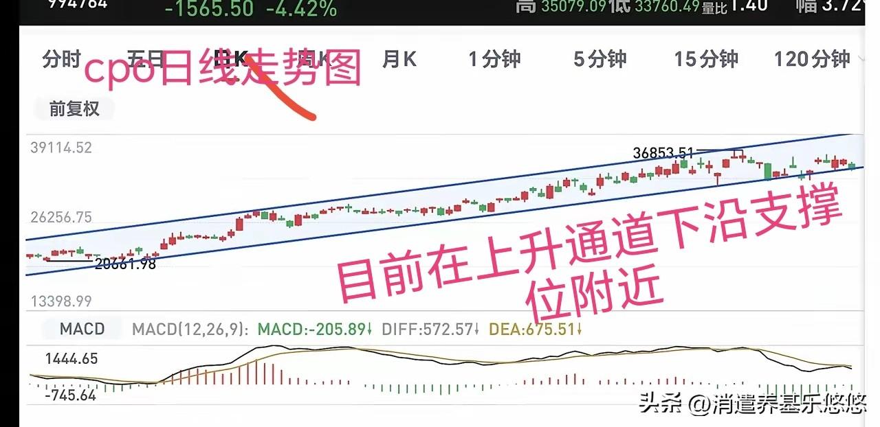 今天下跌幅度比较大的就是cpo,板块，也许是受美股昨天这个板块大跌影响，也许是位