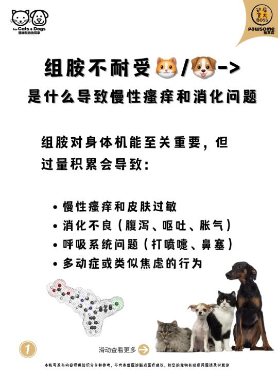 组胺不耐受->慢性瘙痒和消化问题