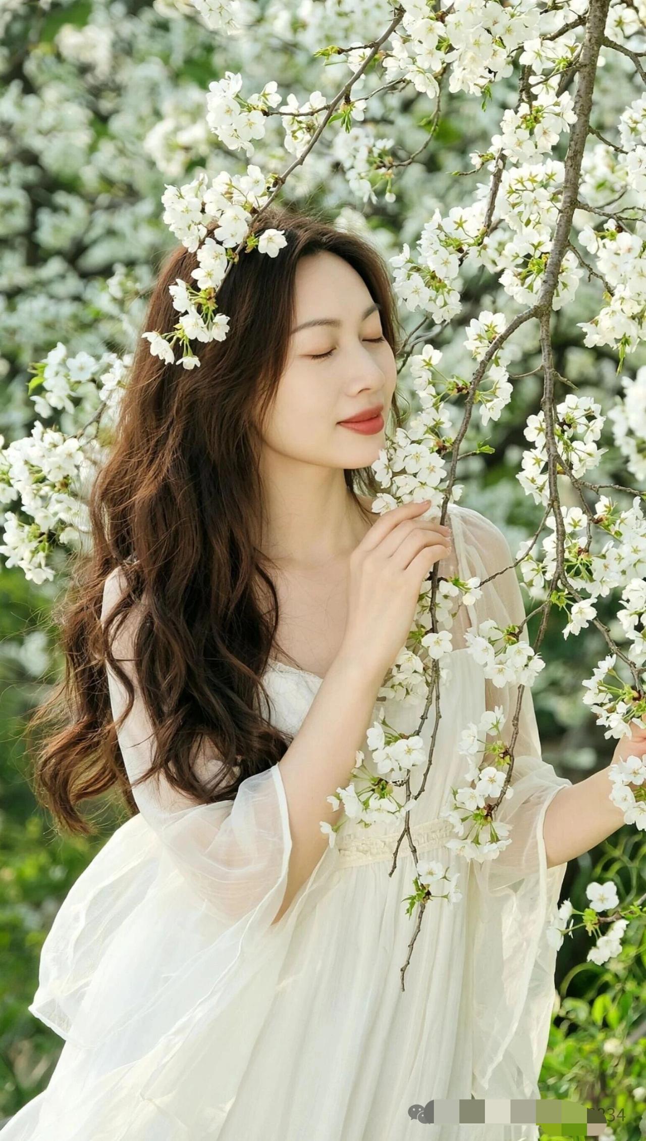 梨花带雨的仙女