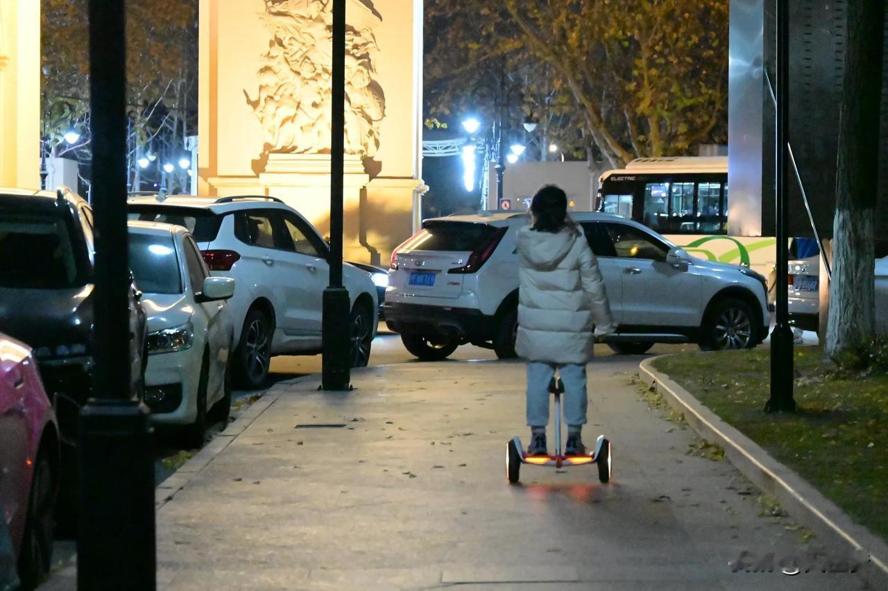 尼康相机有着不错的性能，在夜晚星光点点的氛围下，可凭借其高感光度、优秀的成像素质