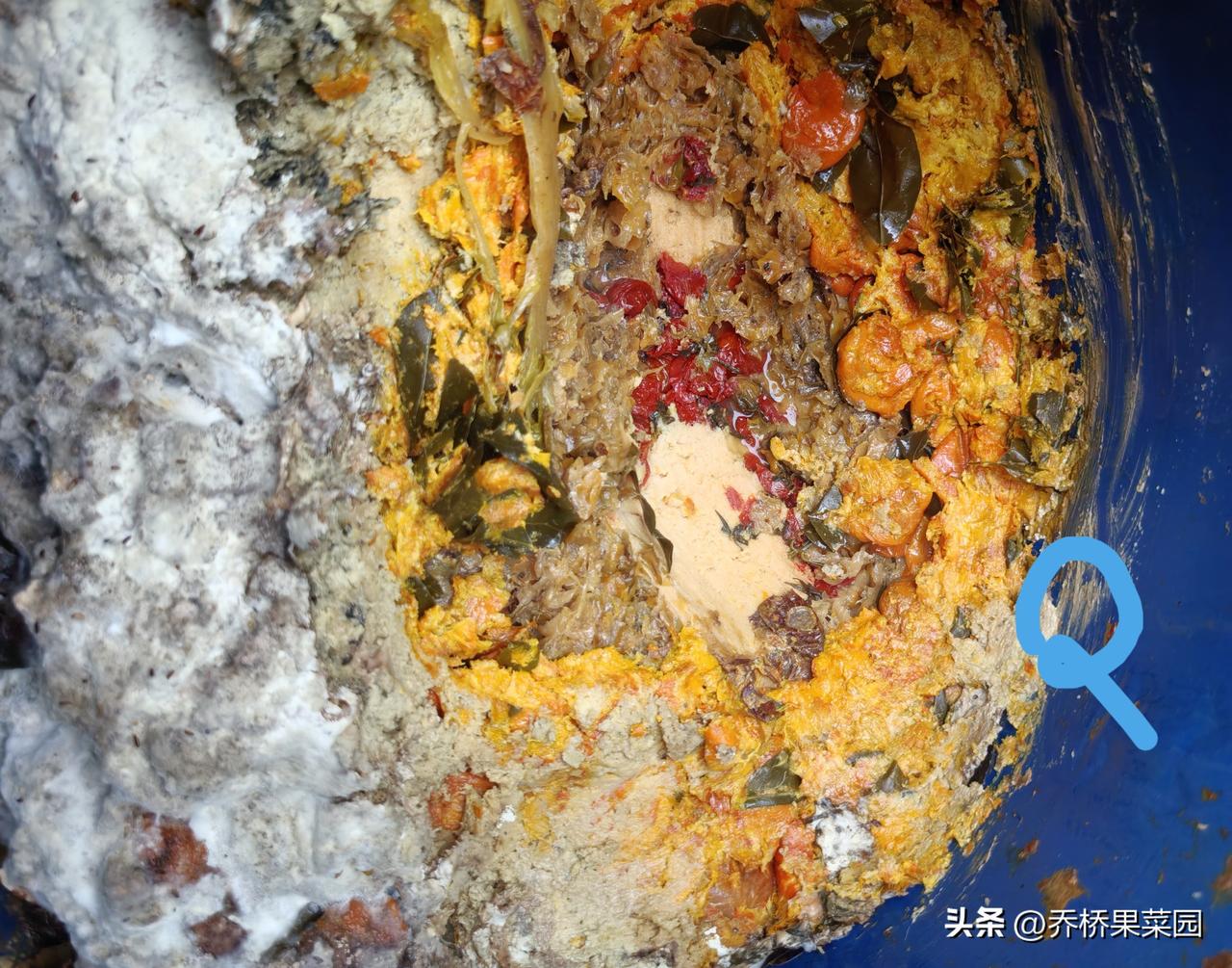 羊粪与鸡粪,哪个肥效更高?如今，相对是羊粪好。过去，论肥效，那肯定是鸡粪好了。