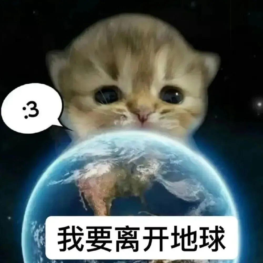 盛夏壁纸大放送动漫仲夏狂欢季小毛咪ᶻz ₍^_   ̫ _^₎ 