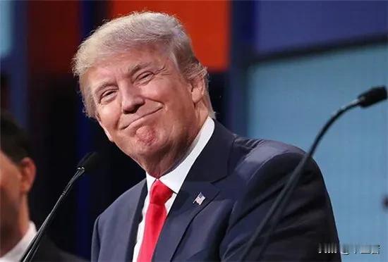 如果特朗普不参加美国大选会怎么样？
答案就是拜登可以躺赢，而共和党内部没有任何人