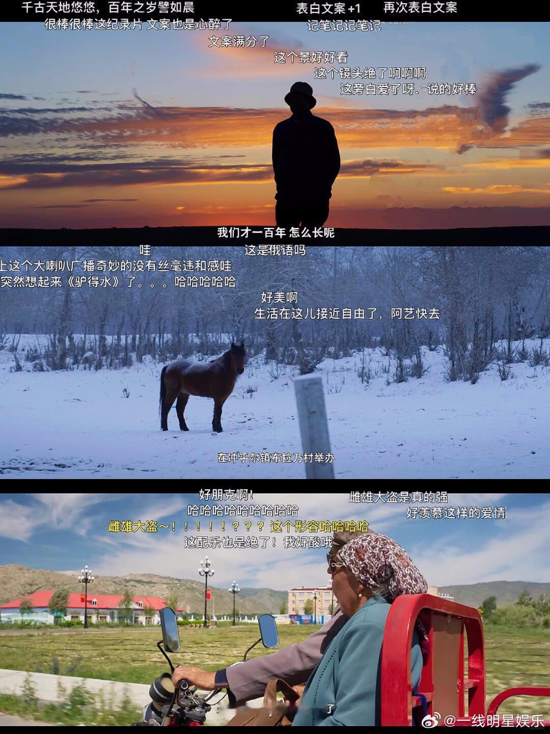 纪录片他一拍就是二十年 二十年啊，人生能有几个二十年？顾桃就这么把三分之一的光阴