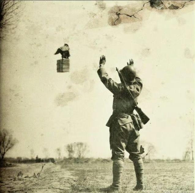 侵华期间日军的军鸽部队，日军在天津、南京等地修建大量鸽舍，南京的军鸽培育基地规模