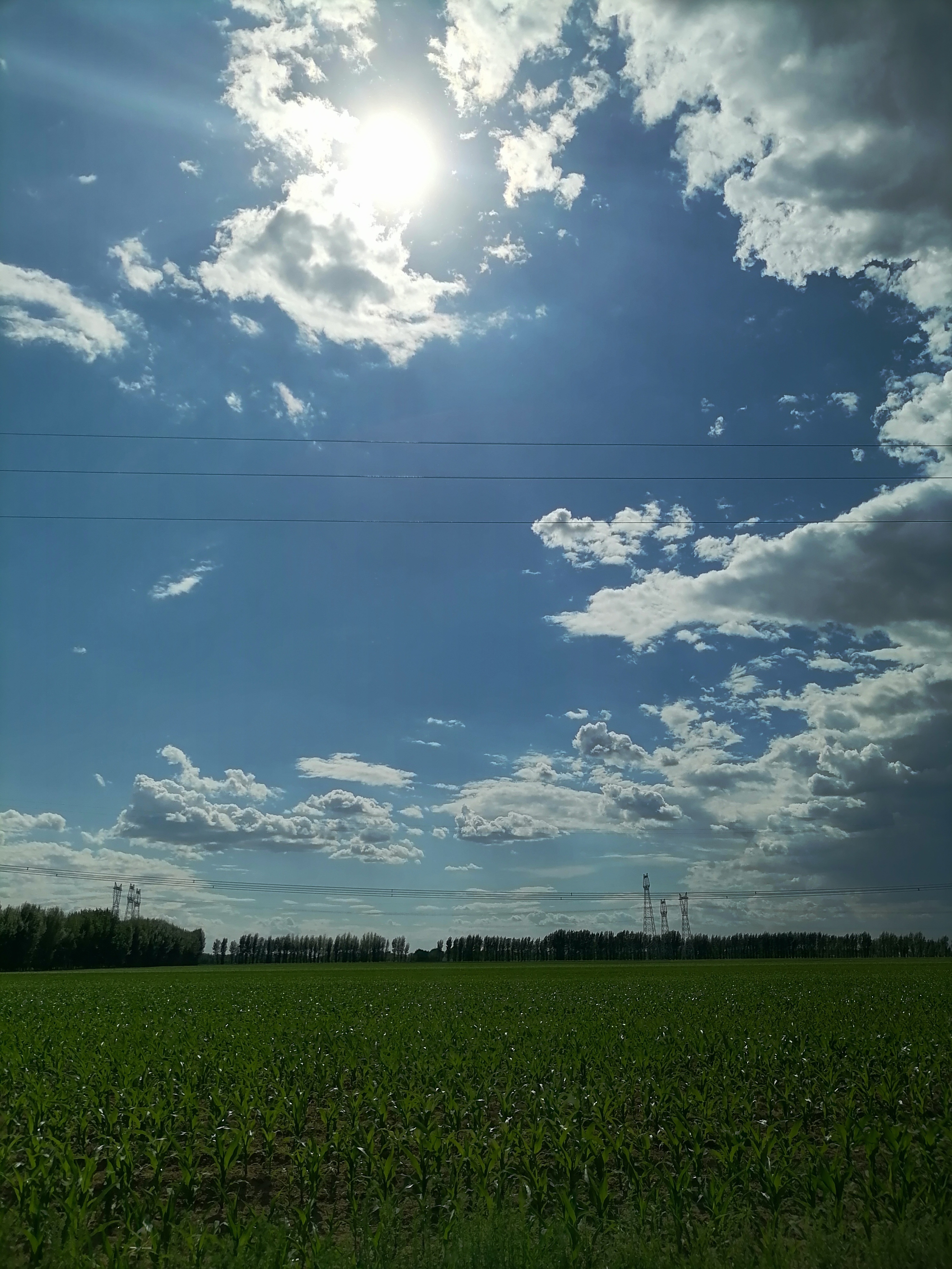 盛夏☀️ 