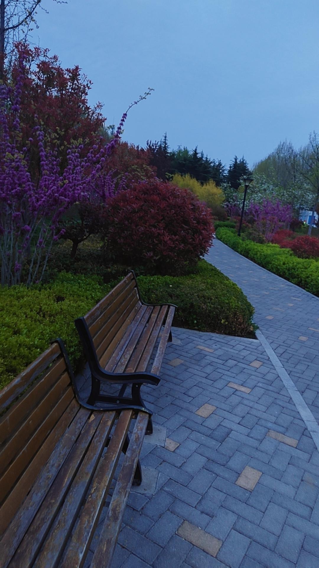 春日生活打卡季人到一定年纪，就爱上了这种独处的时刻。不用说话，不用迎合，就坐在长