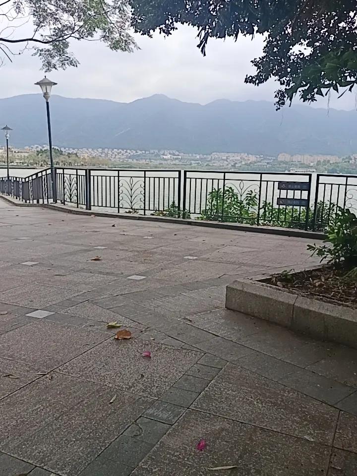 你敢相信吗？这就是肇庆的星湖原创美景随手拍