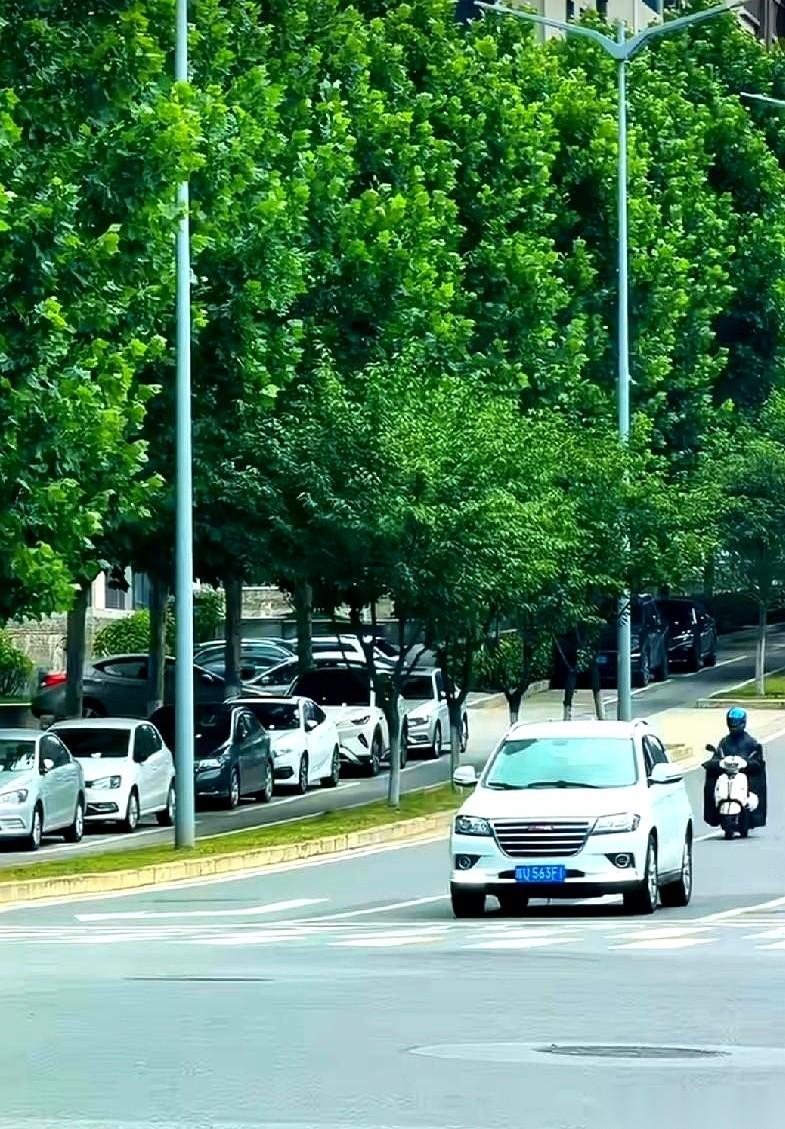 我跟你说，昨天下午刷到一张图，心都咯噔一下。
西安，神舟六路，平地炸起一朵巨大的