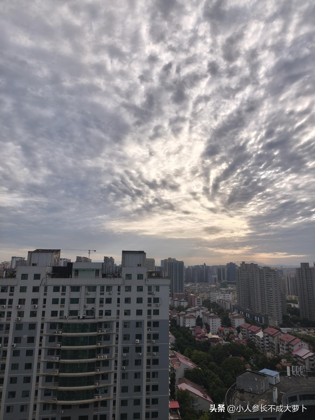 我真的要无法给你形容西安的这个10月，太冷了！[捂脸]
冲锋衣，里面抓绒的也穿上