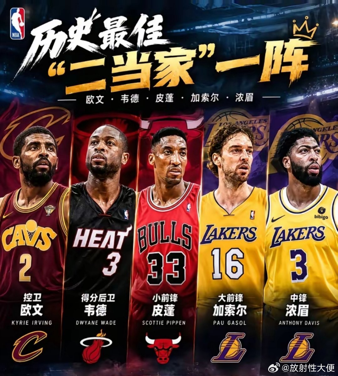 “二当家”史上最佳阵容，不过我觉得骑士的欧文和热火的韦德就是大当家 ​​​