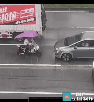 骑电动车的女子是逆行，你说她傻吧，她绝对不认，你说她蠢吧，她皆有可能对你口吐芬芳