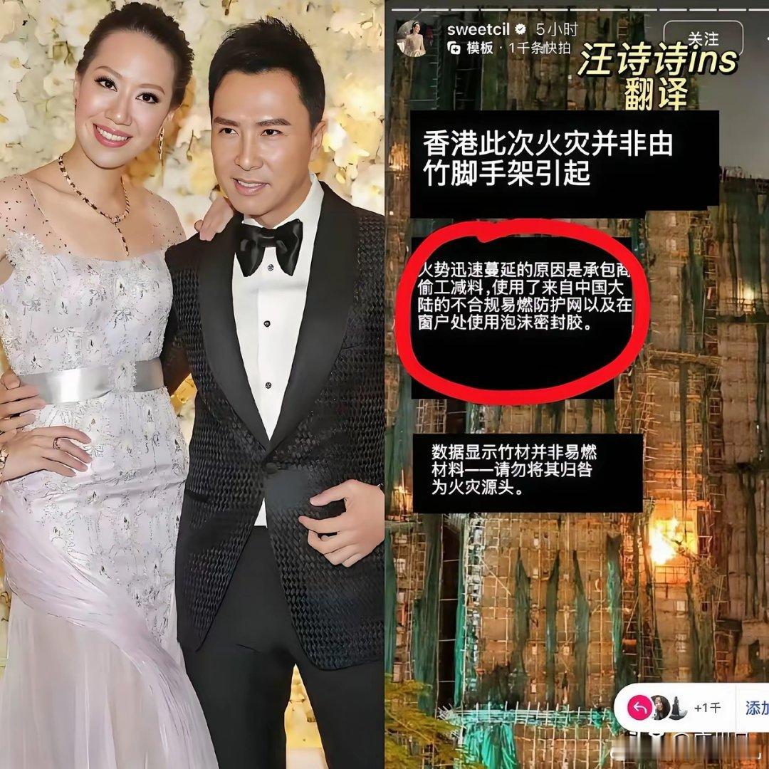 甄子丹的粉丝也意识到了以后他估计要退圈了出道几十年，居然被一个女人害的晚年不保了