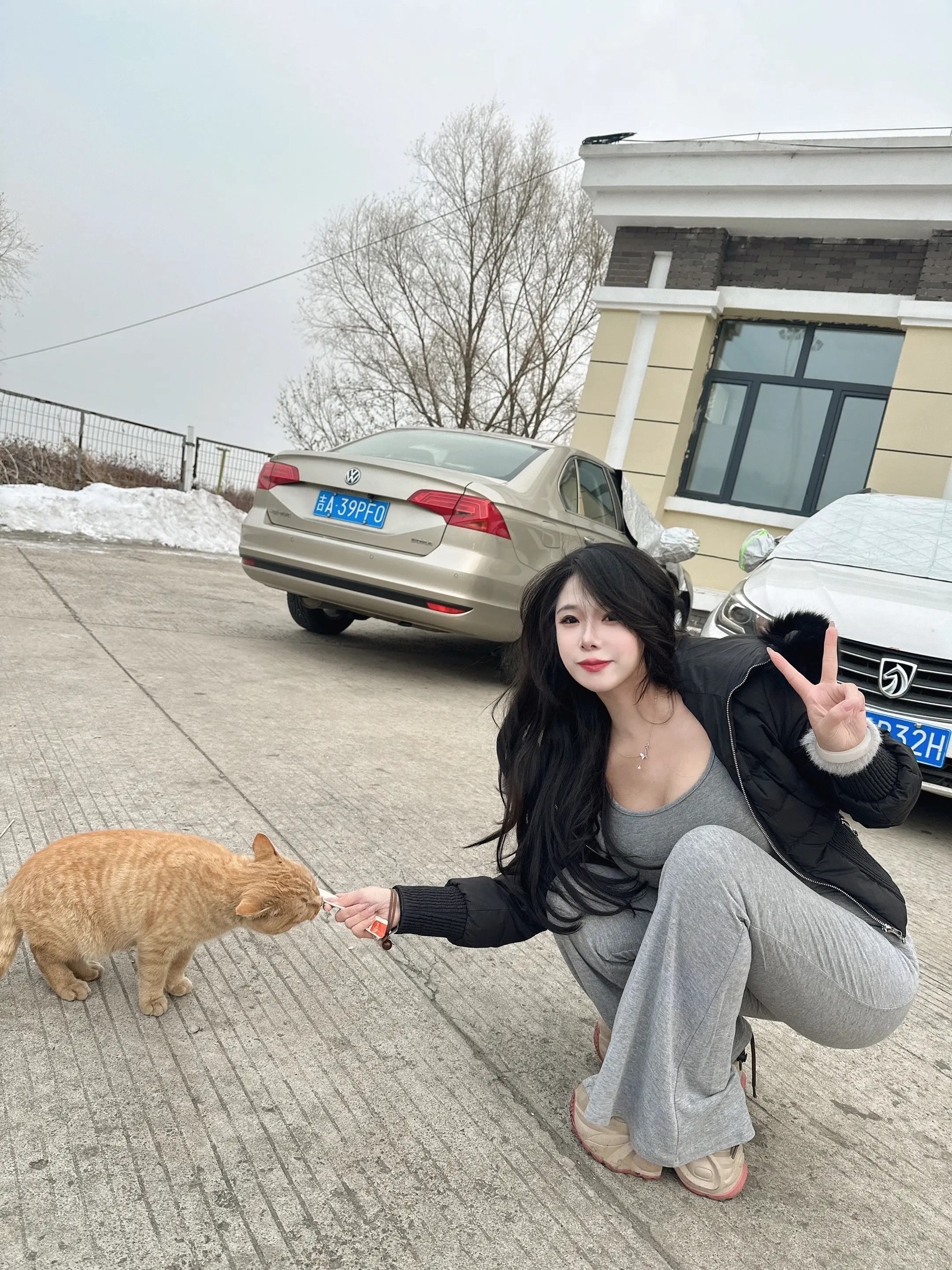 恨你 骗我猫条还不让摸