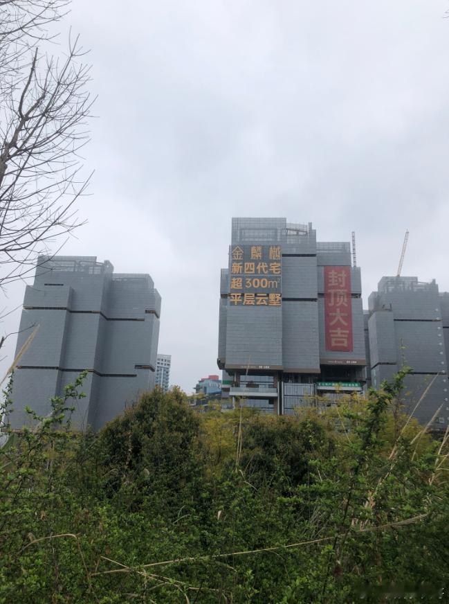 麓湖金麟樾现状，不知不觉就封顶了，速度非常快。这个角度视野极佳，直面天府森林公园