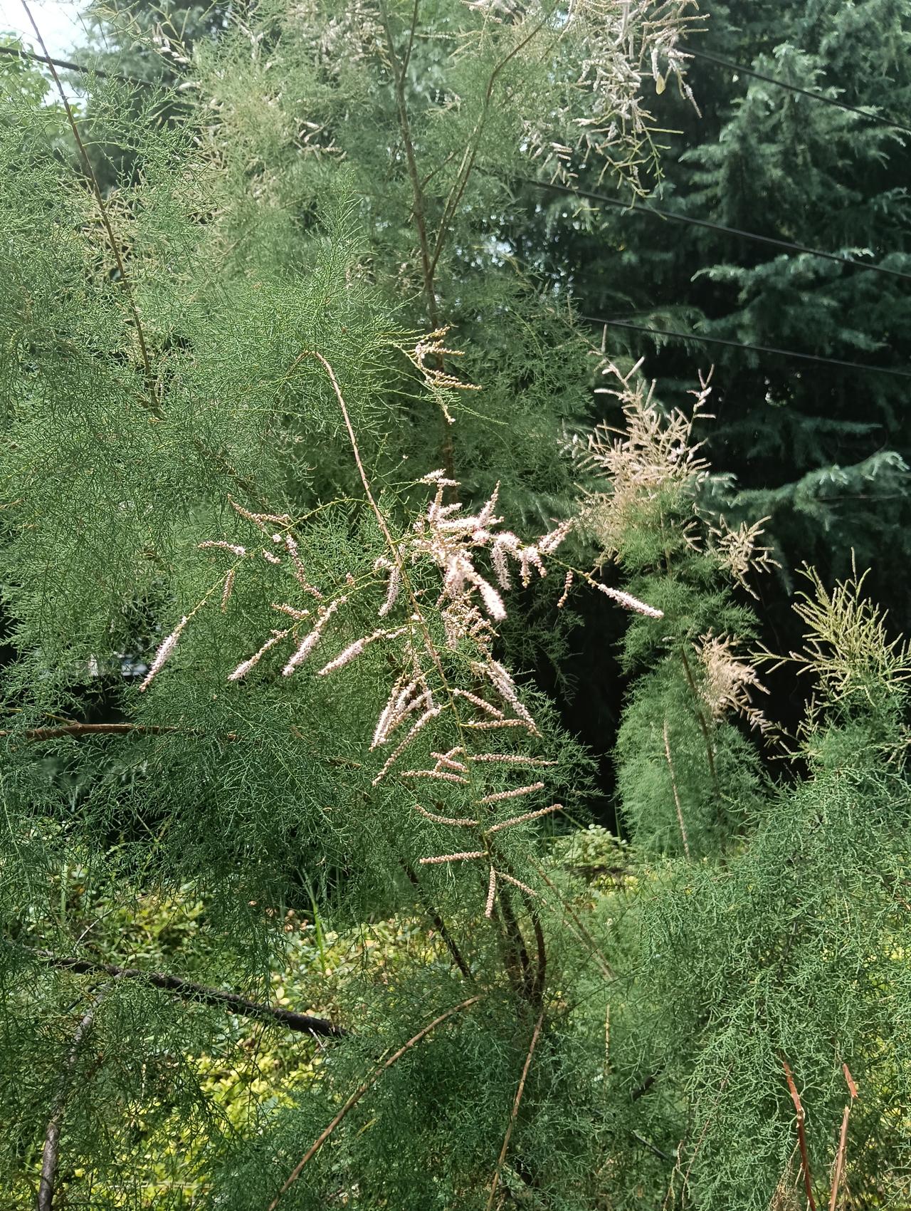 蝉鸣、冰镇西瓜、傍晚的微风，夏日的美好藏在每一个日常瞬间里。夏日生活打卡季正式开