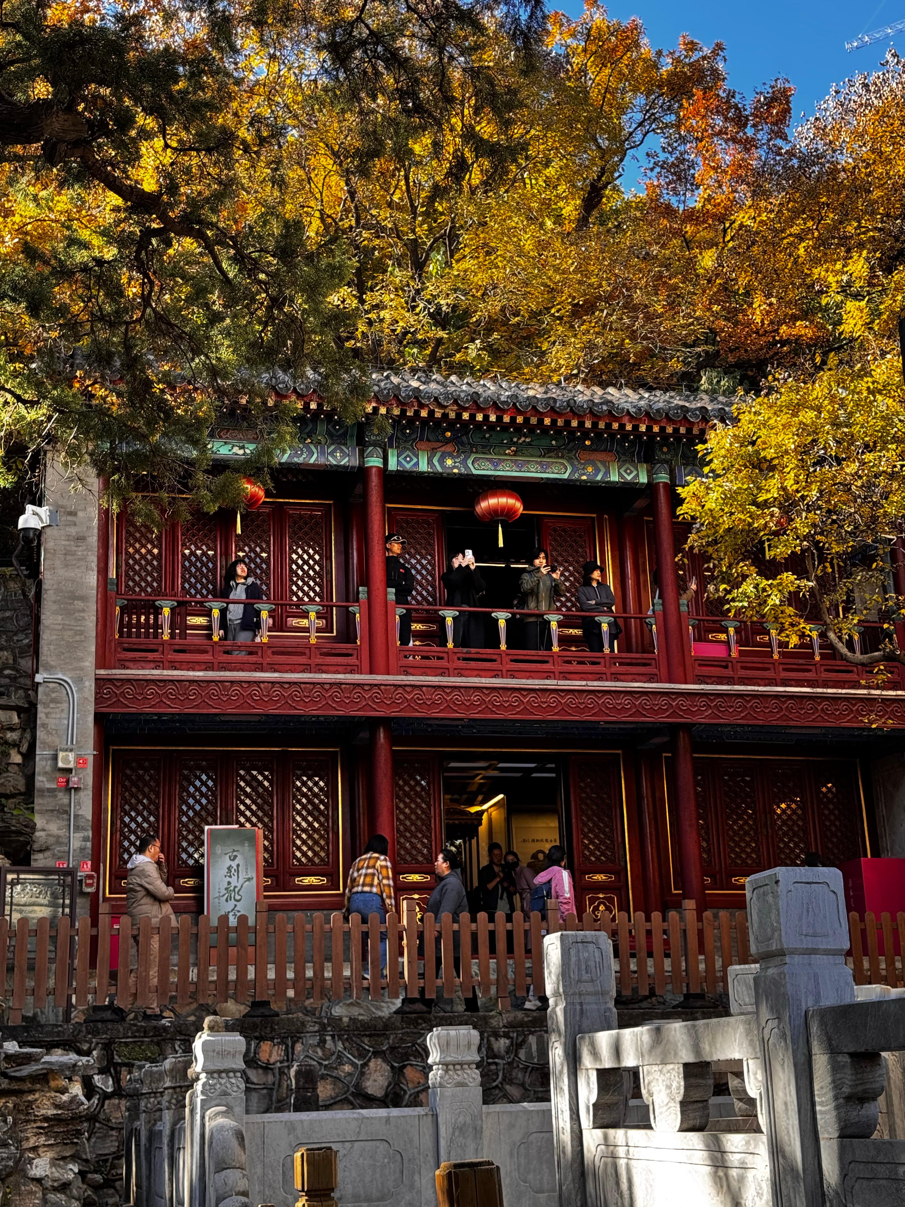 秋天的北京真的是拍照好时节。每个人都在拍照。 ​​​