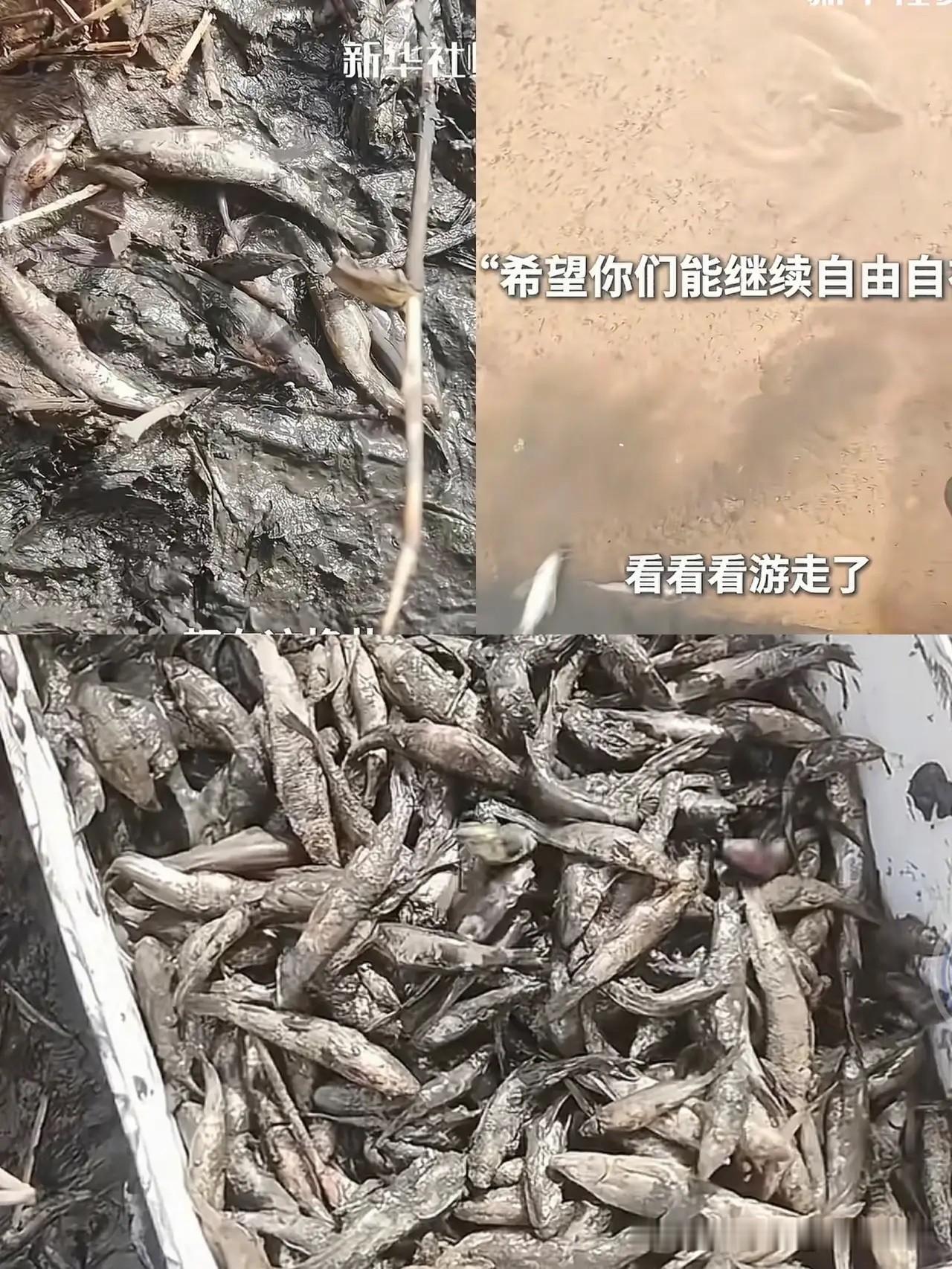 新疆的姑娘真是鱼儿的福星，生命值得被温柔以待。

去年的胡杨林，路边的干涸水沟里