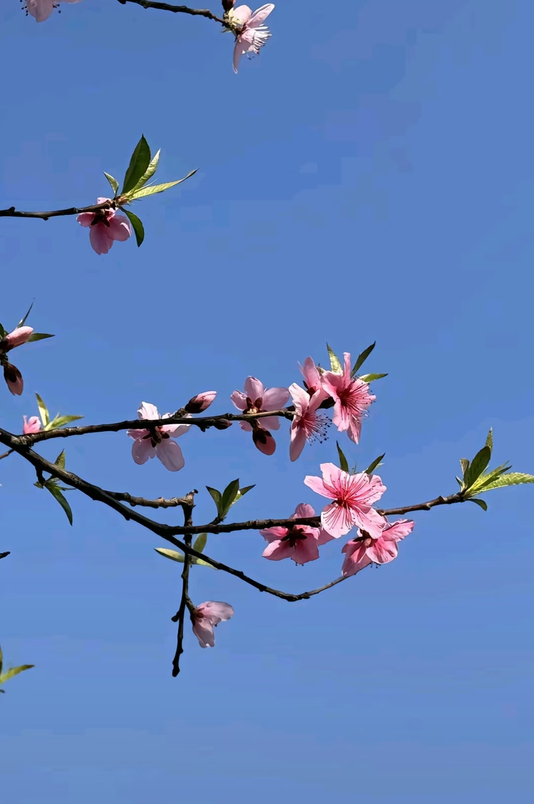 守住内心，稳步前行。 