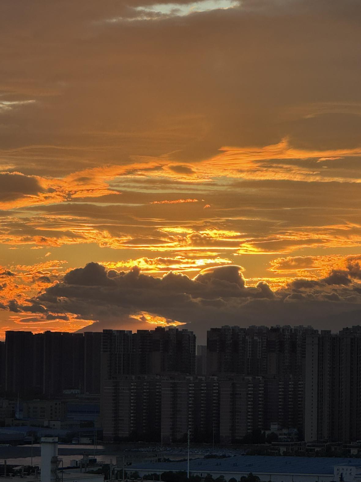 早上起来被美得一大跳！真的太美了！瞬间醒了，见者发财～不过再过一会就不可爱了，因