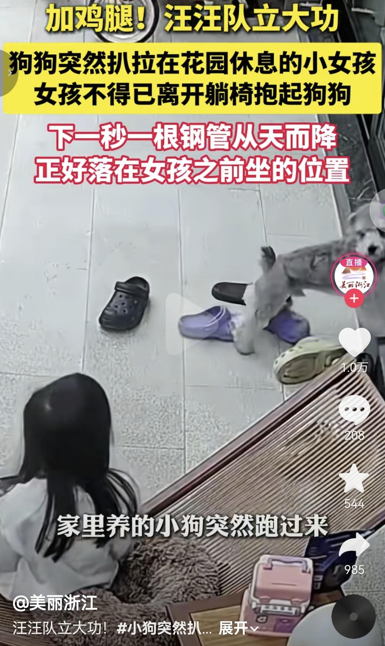 万物皆有灵！这小狗立下大功了！3月2日，重庆，一个普通的上午，小女孩像往常一样，