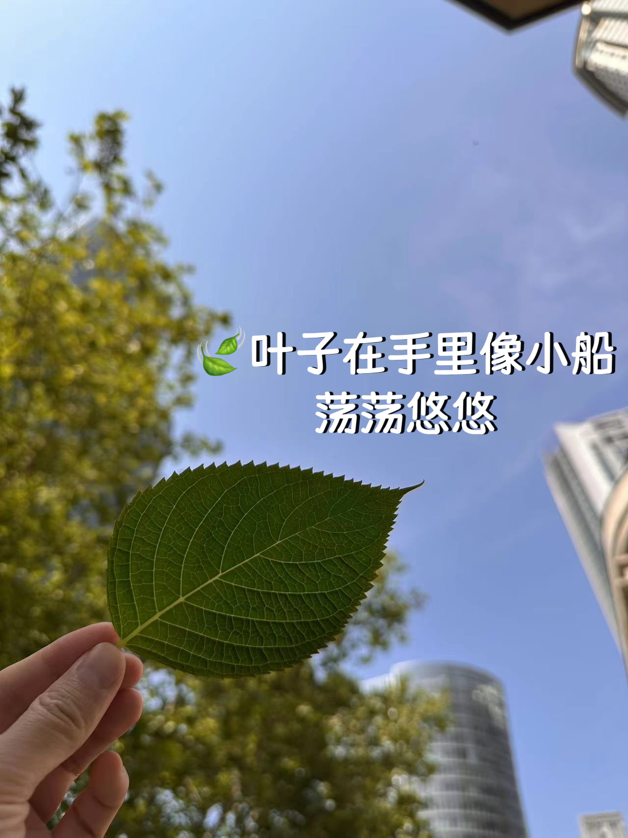 打工人的放松时刻！在争分夺秒的职场日常里，其实也同时藏着许多治愈的惊喜小片段。举
