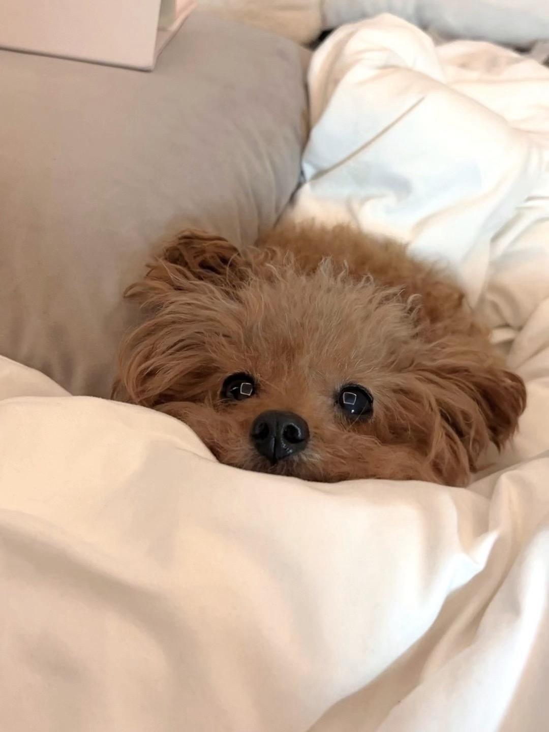 我终于懂了别人口中说的那种思念