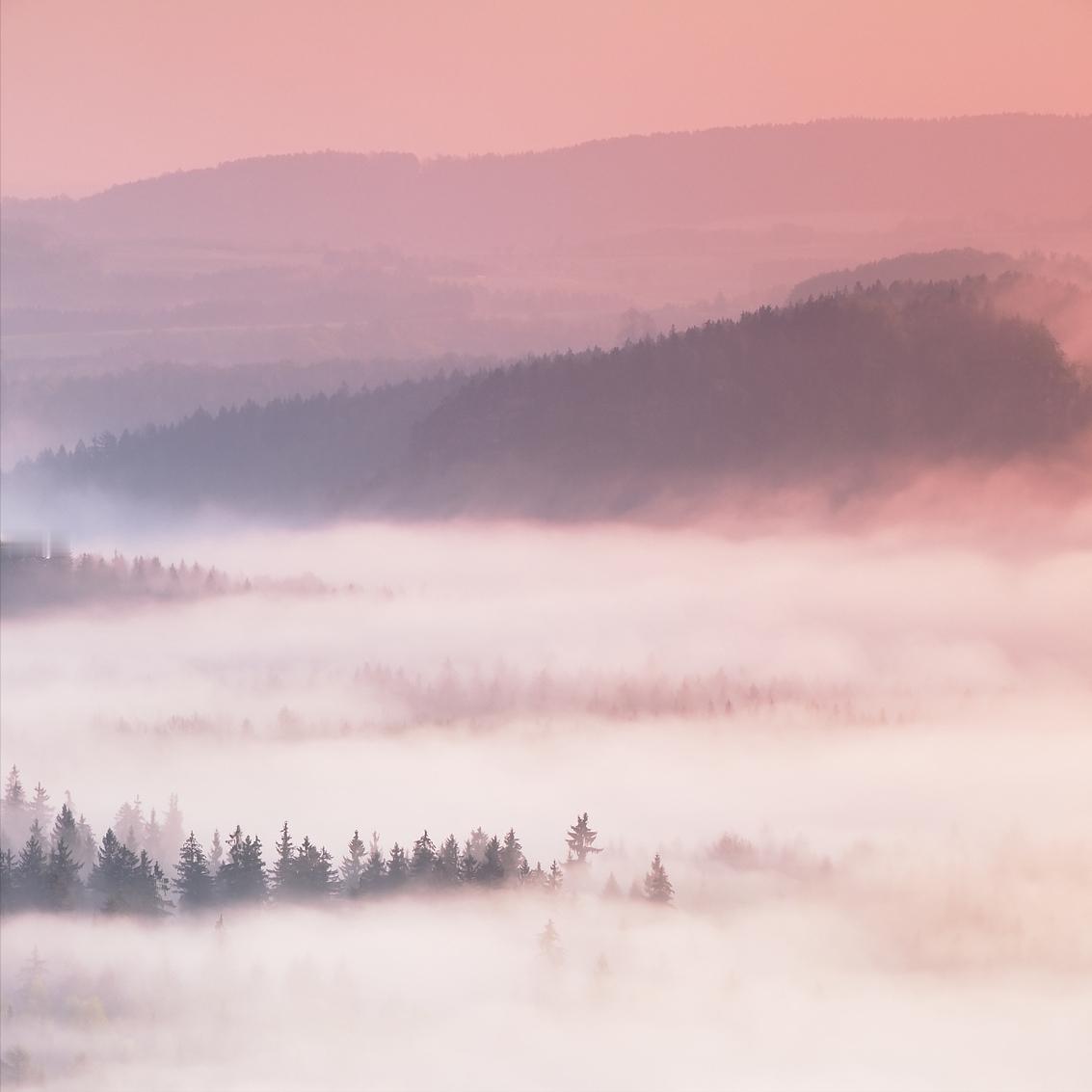 人不管到了什么年龄，都要记住，言慢者贵，性柔者富，德厚者旺。允许自己做自己，允许