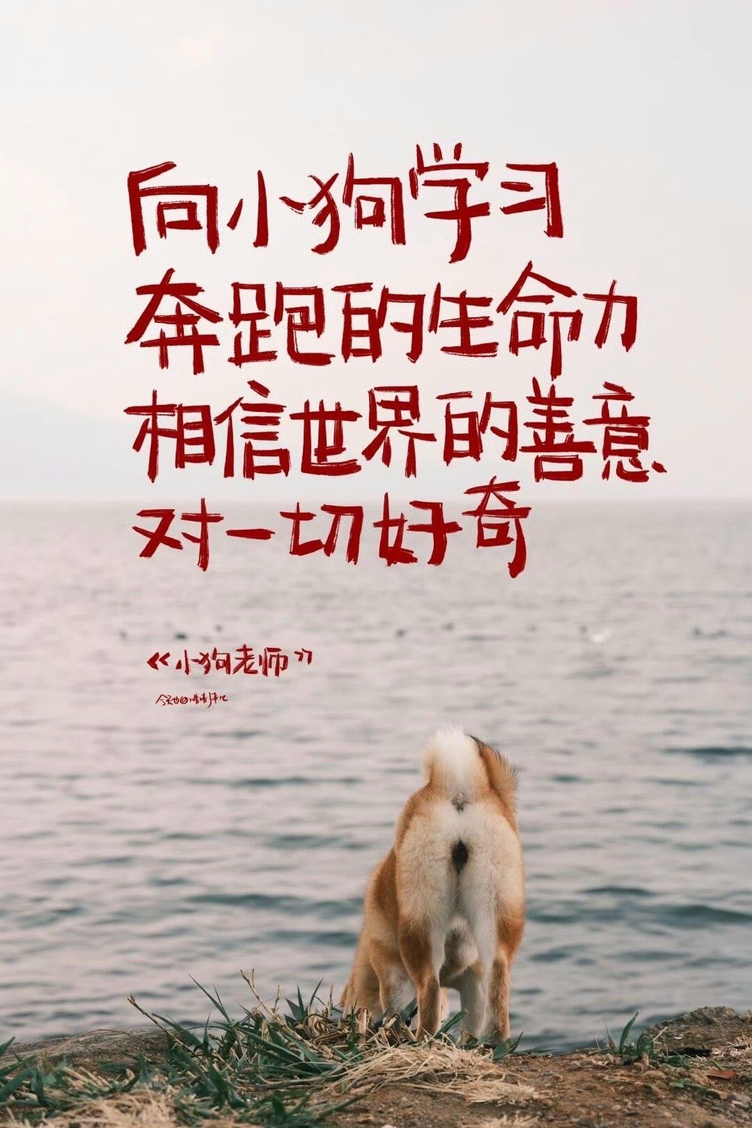赤裸裸的来到世上，得到什么都是赚到。 