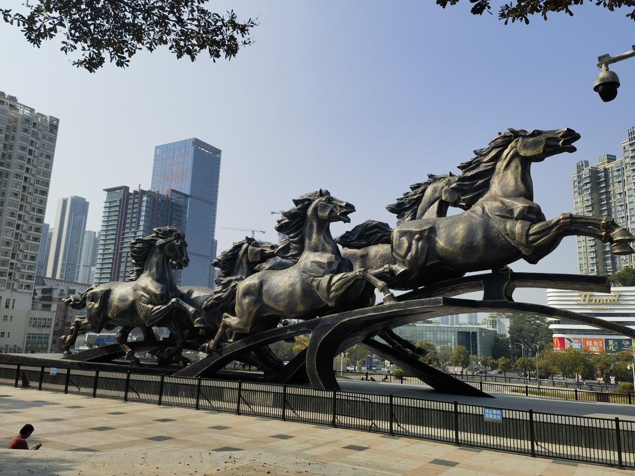 深圳宝安灵芝公园寄语：祝头条粉丝们、朋友们，马年吉祥！马年顺利！马到成功！