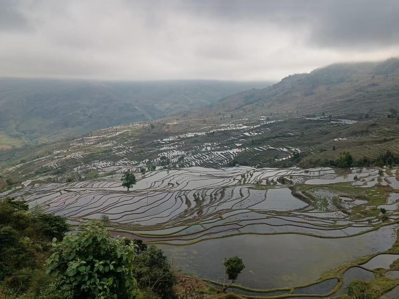 急是一种很大的负面能量，一定程度上它甚至是一种“病”。

急性子的人，总像被拧得
