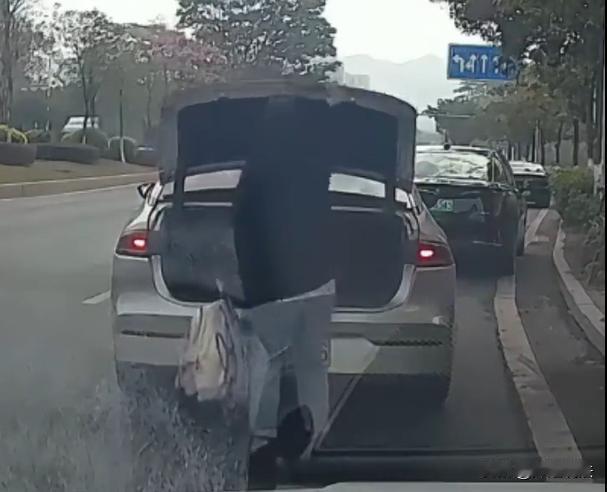 广东，一女子打车，她有一个行李箱，一个背包，当时提出要求，希望司机帮自己拎一下行