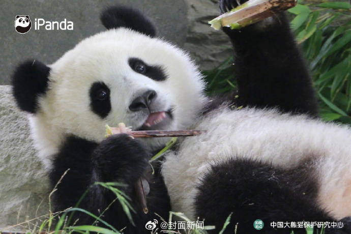 #小封日历# 早安！周五啦~起床的举手～（图源） ​​​