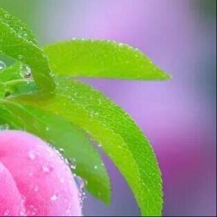 阳光信用  💫阳光信用  💫每日一善生活中，每个人都无法避免遭人猜忌和伤害，