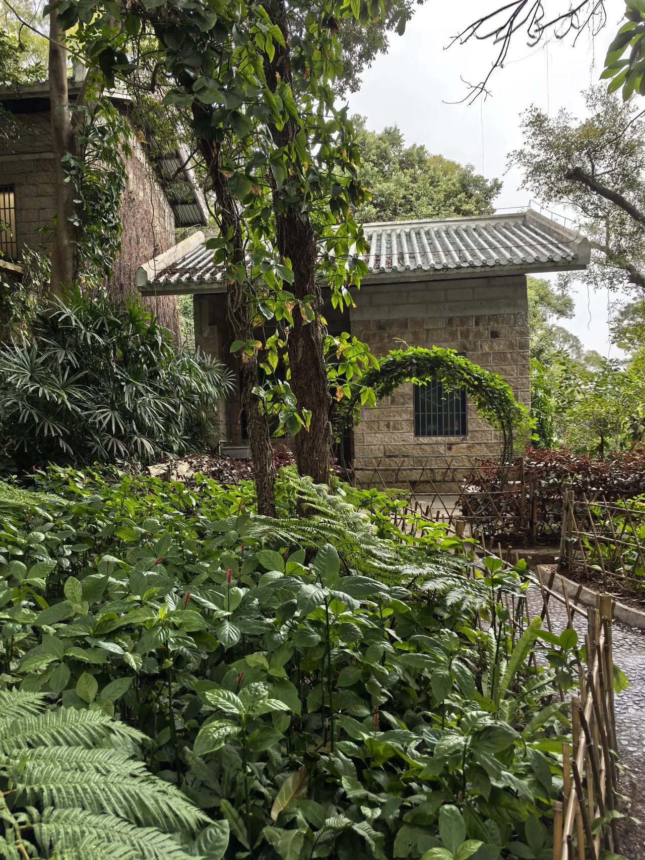 从厦门园林植物园到小林海鲜，美景美食无缝衔接。