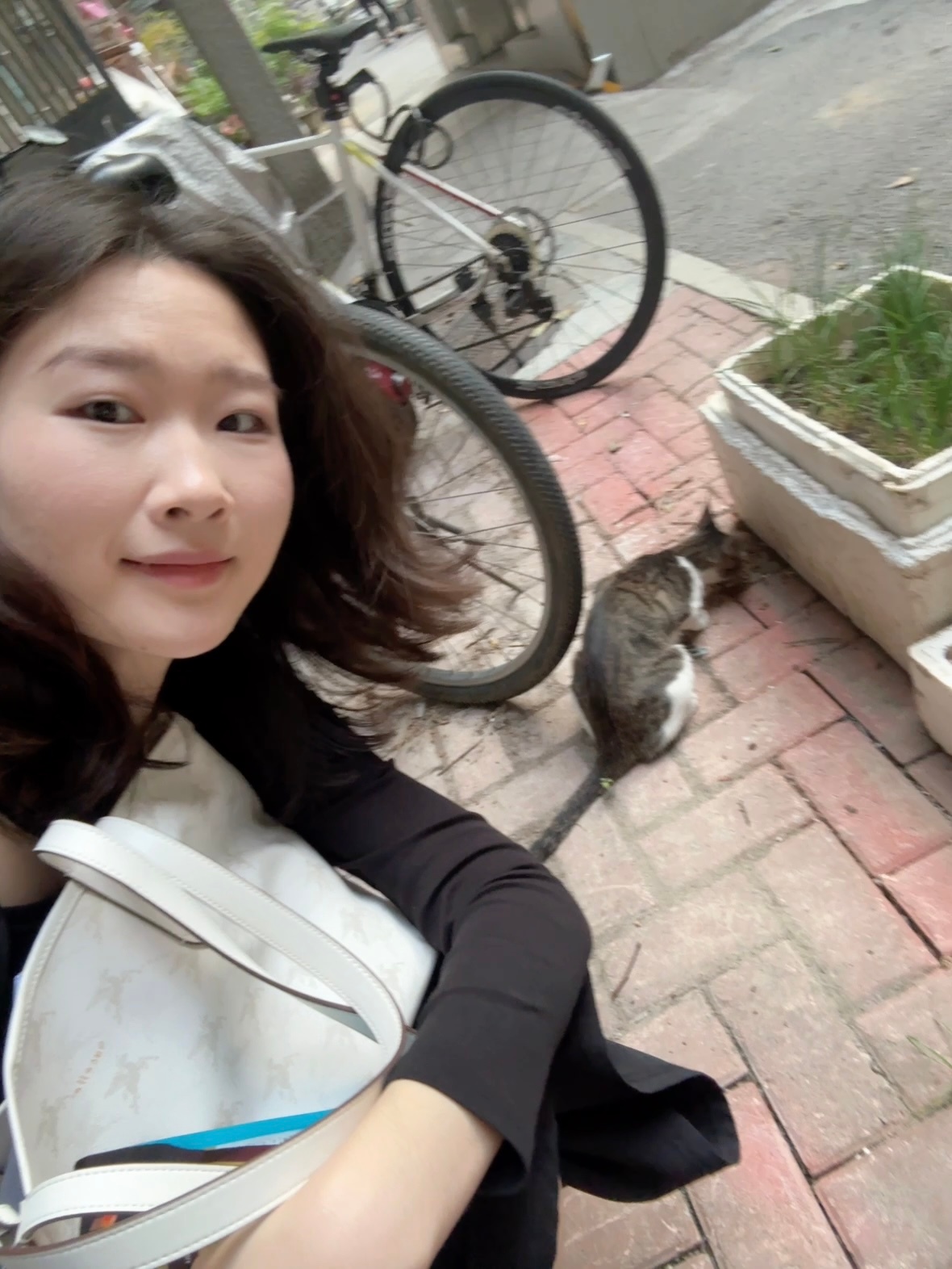 痛经着在办公室坐了一天回到家楼下给猫猫喂吃的看着大口大口地吃真的很治愈呢 ​​​