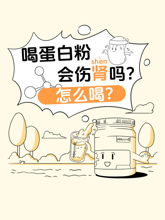 喝蛋白粉会伤肾吗？腰子发出阅读请求❗️