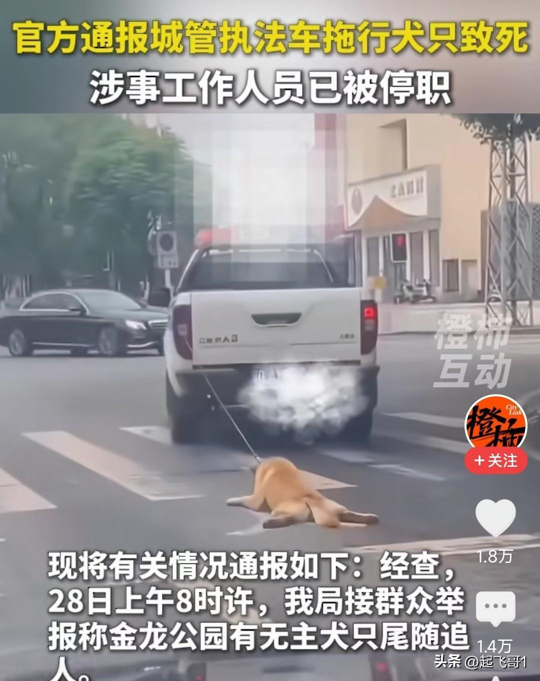 这样把狗放在后面拖着，你开车不感觉心痛吗？这是人干的事吗？
28日上午某地城管部