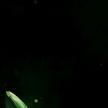 人永远不能停止梦想。梦想是心灵的养料，就像饭菜是身体的给养。人生路上我们常会看见