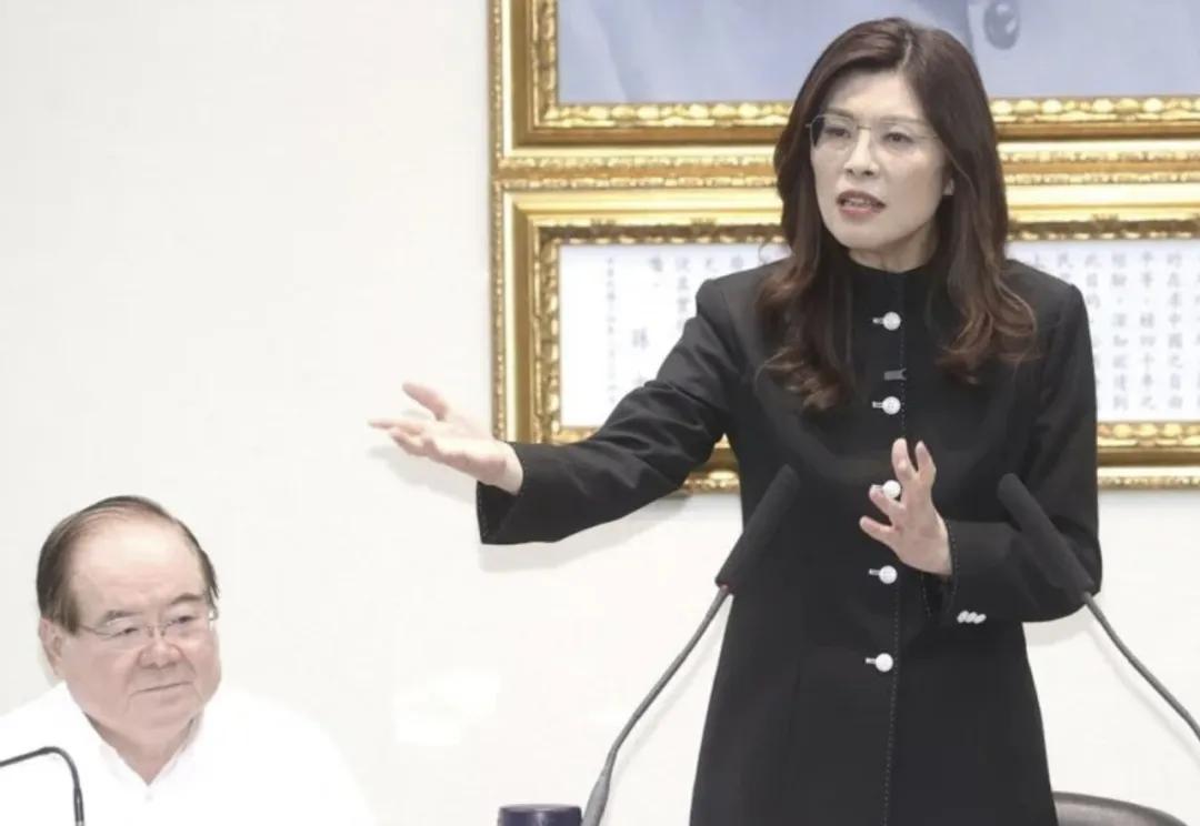 4月15日的国民党中常会格外受关注，刚返台的郑丽文没穿惯常西装，而是一身黑色中山