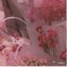 一句温暖的话，一个微小的善举，就是给世界最好的礼物。 