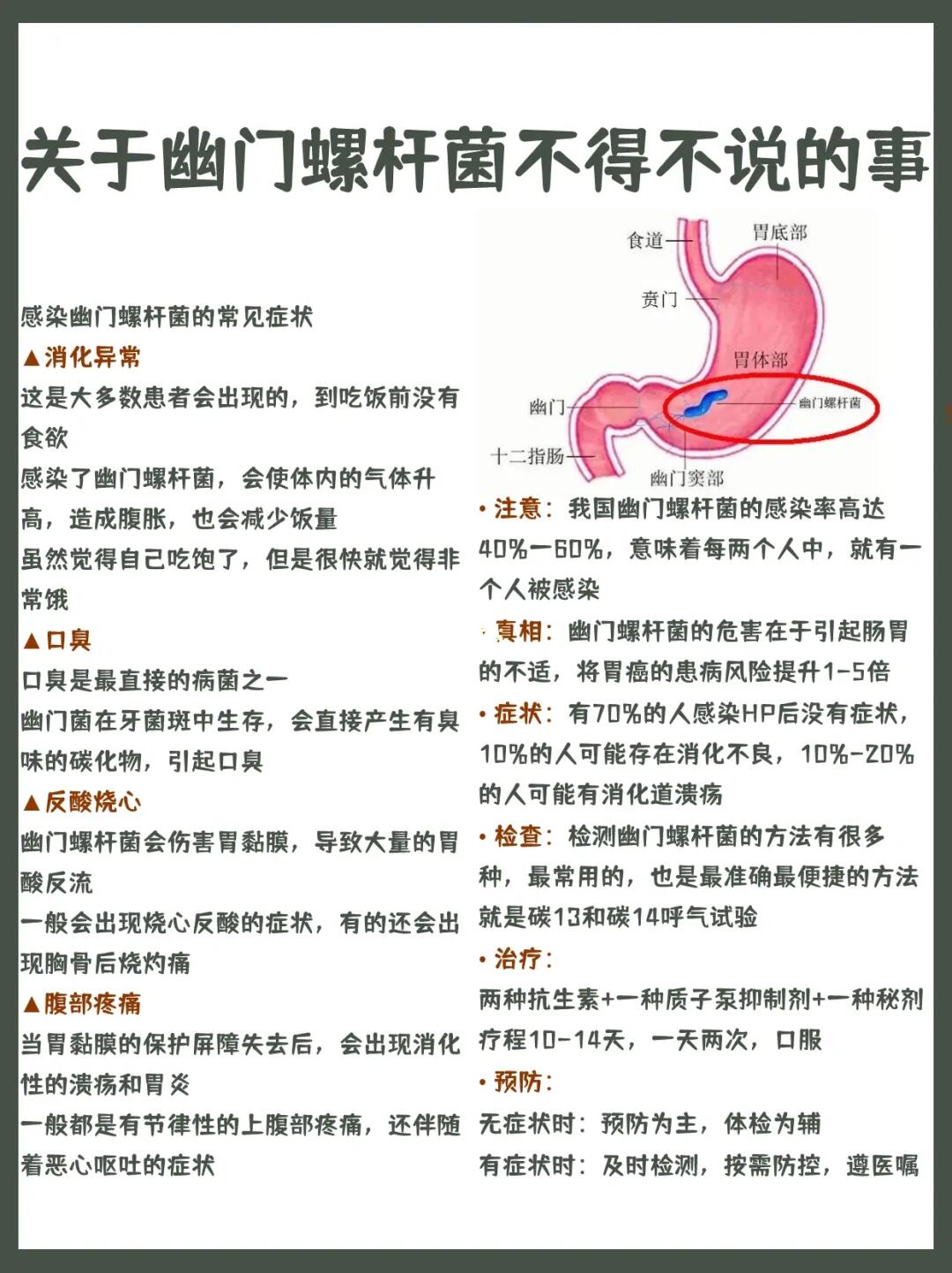 关于幽门螺杆菌我不得不说的事