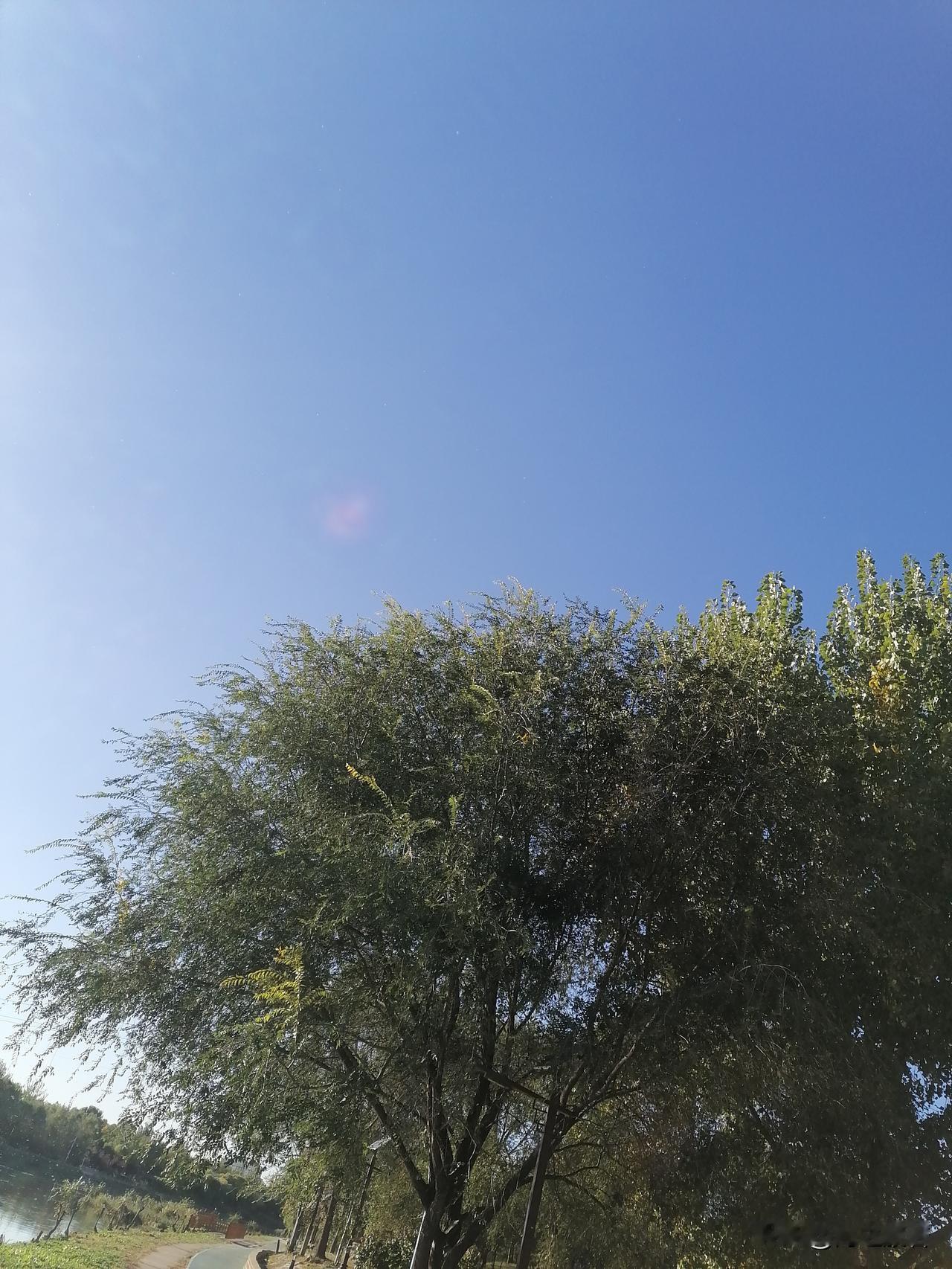 10.30北京天气：白天晴，偏北风三级左右，阵风五六级，最高气温20℃；
夜间晴